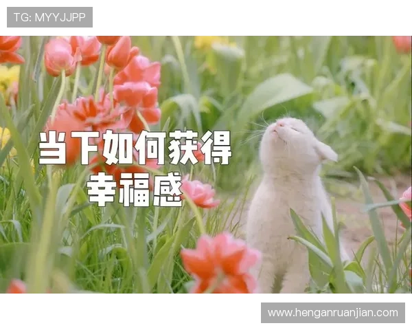 开运网站app助你每日好运不断，轻松提升生活幸福感的最佳选择